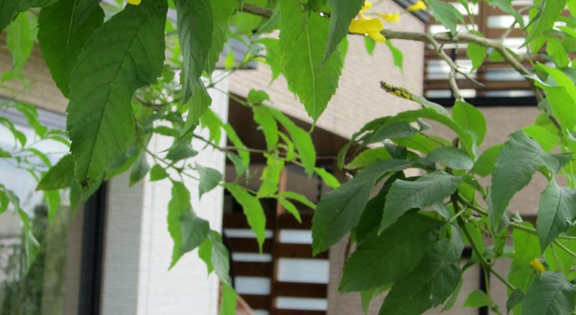 Green Willow House Fengshan  ภายนอก รูปภาพ